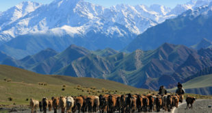 Hochgebirge und Steppen in Kirgistan