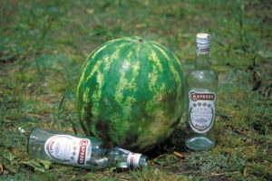 Wodka mit Melone