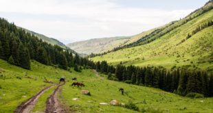 Beste Reisezeit und Klima in Kirgistan